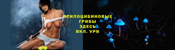круглые Белокуриха