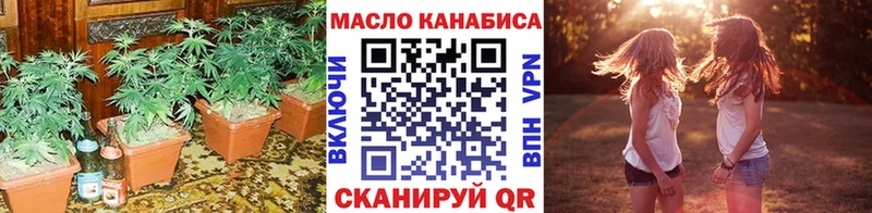 где купить   Магас  ТГК THC oil 